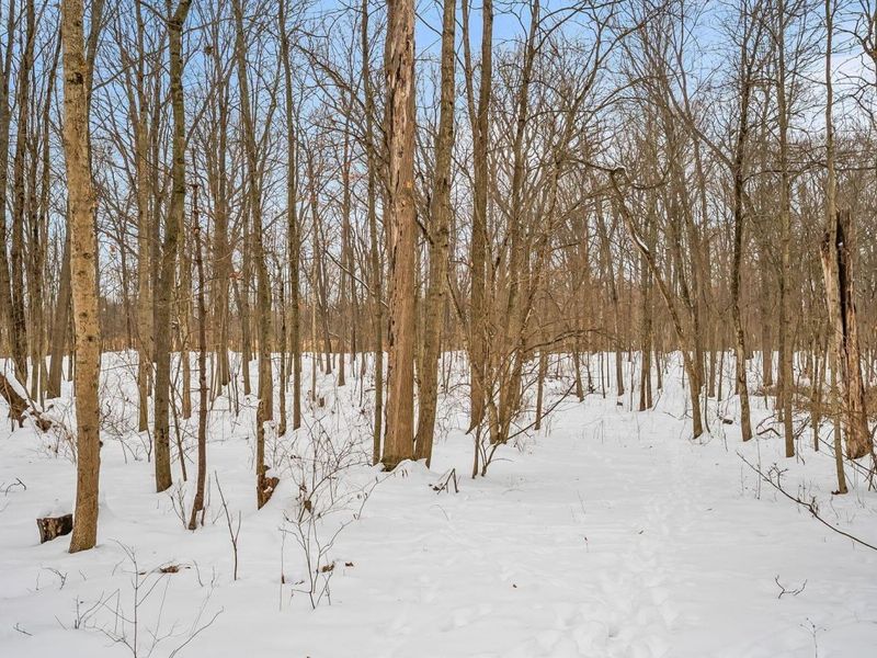 4449 Larue Prospect Road S, Prospect, OH 43342 Photo 32