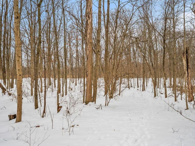 4449 Larue Prospect Road S, Prospect, OH 43342 Photo 33