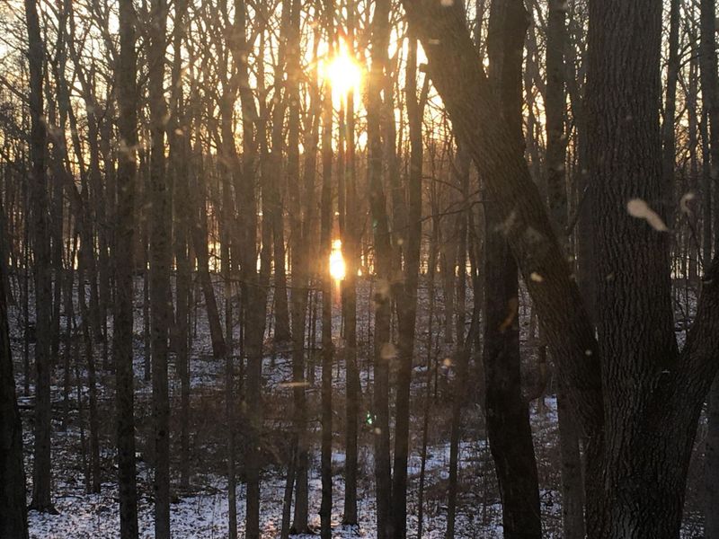 4449 Larue Prospect Road S, Prospect, OH 43342 Photo 34