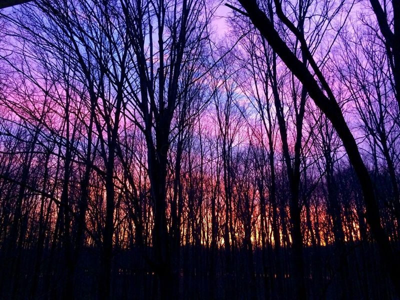 4449 Larue Prospect Road S, Prospect, OH 43342 Photo 35