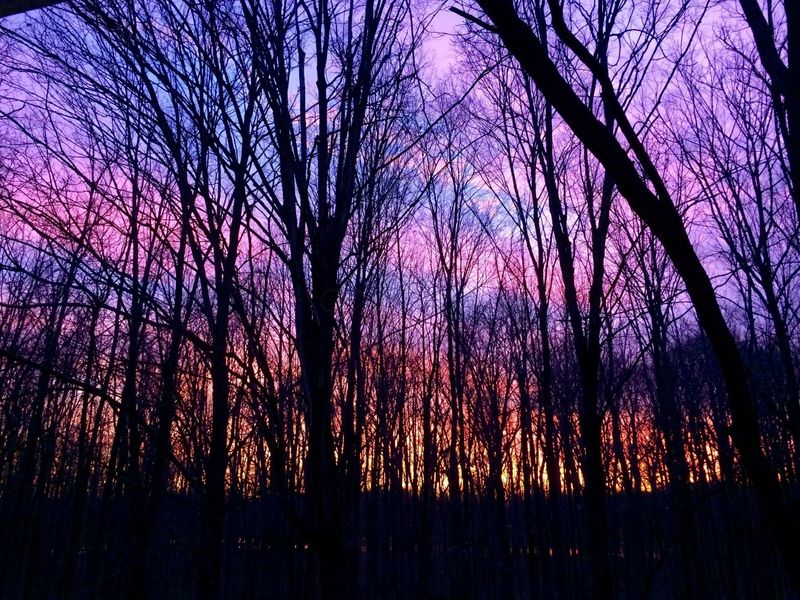 4449 Larue Prospect Road S, Prospect, OH 43342 Photo 36