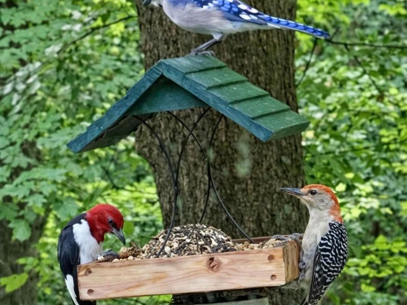 4449 Larue Prospect Road S, Prospect, OH 43342 Photo 55