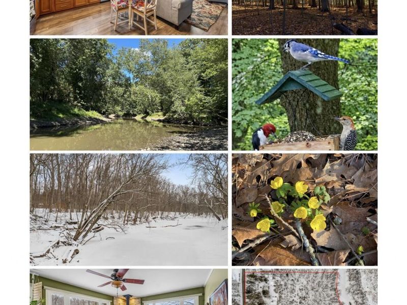 4449 Larue Prospect Road S, Prospect, OH 43342 Photo 55