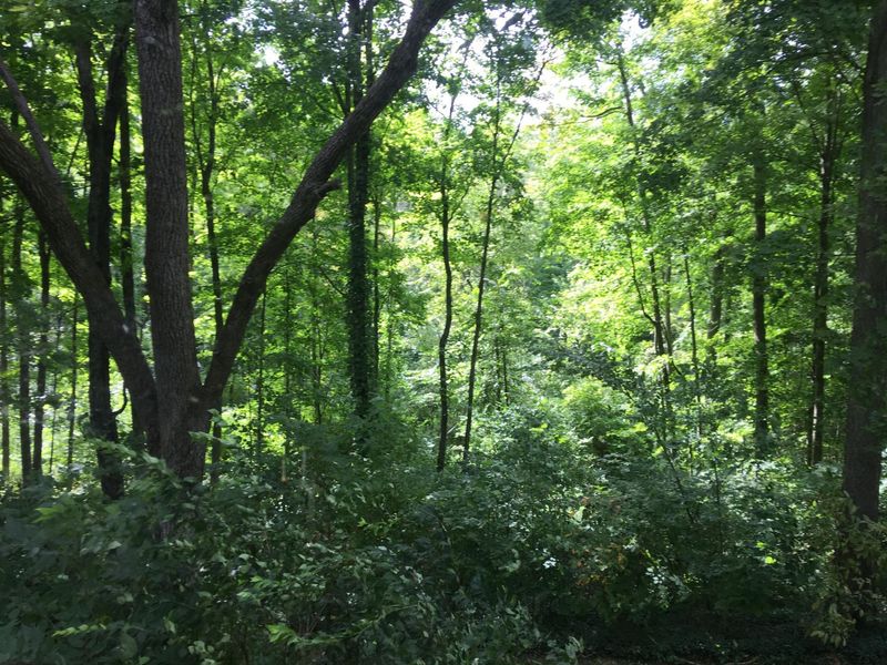 4449 Larue Prospect Road S, Prospect, OH 43342 Photo 59