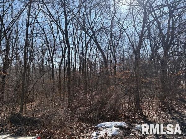 20604 N FAWN Court, Chillicothe, IL 61523