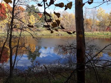 TBD Oriole Court, Browerville, MN 56438