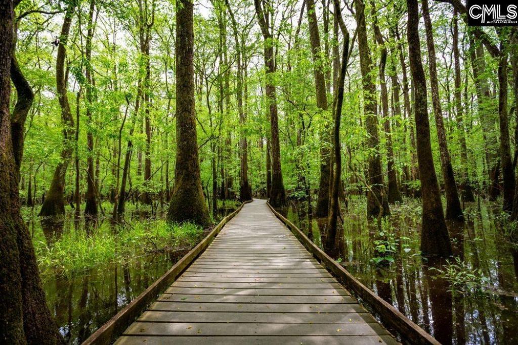 577 Swamp Grass Drive  Photo 43