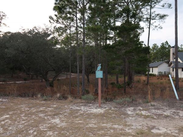 1539 Shark's Tooth Trail, Panama City Beach, FL 32413