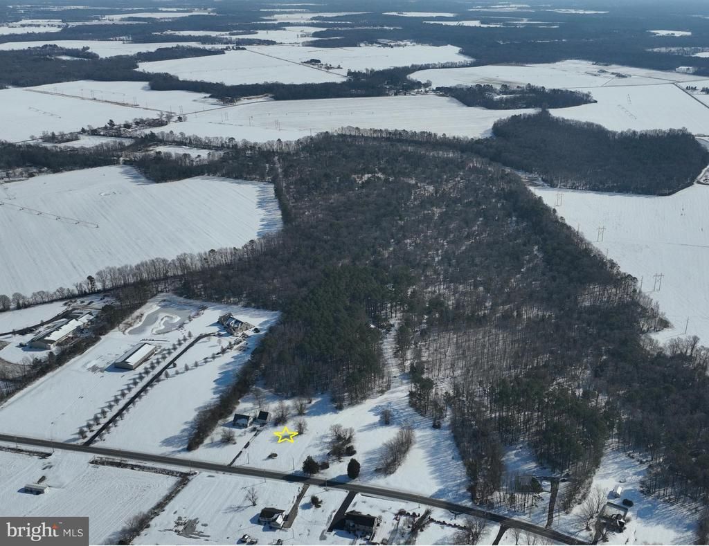 Lot 2 Williamsville Road, Houston, DE 19954 Main Photo