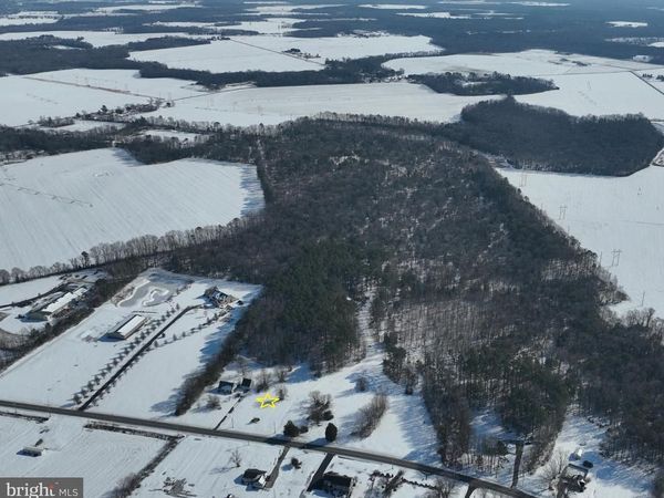 Lot 2 WILLIAMSVILLE ROAD, HOUSTON, DE 19954