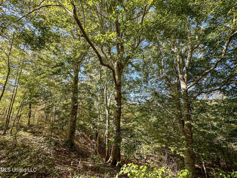 Property Image 51