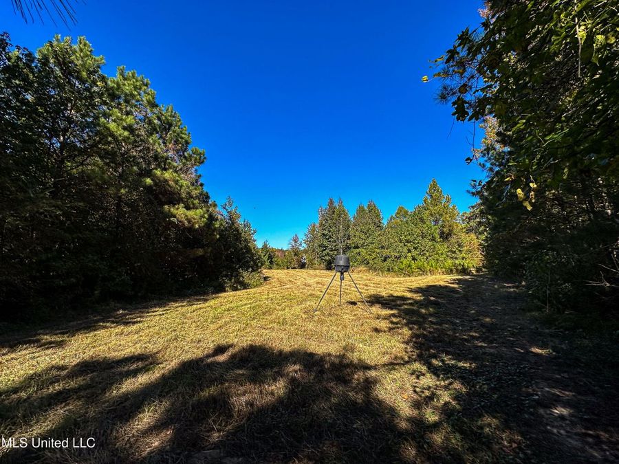 Property Image 63