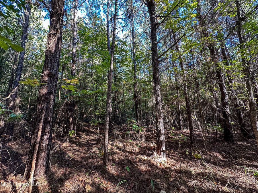 Property Image 81