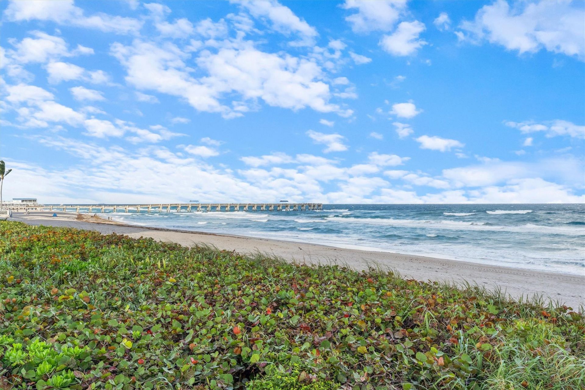 3100 S Ocean Boulevard, Unit 105N, Palm Beach, FL 33480 Photo