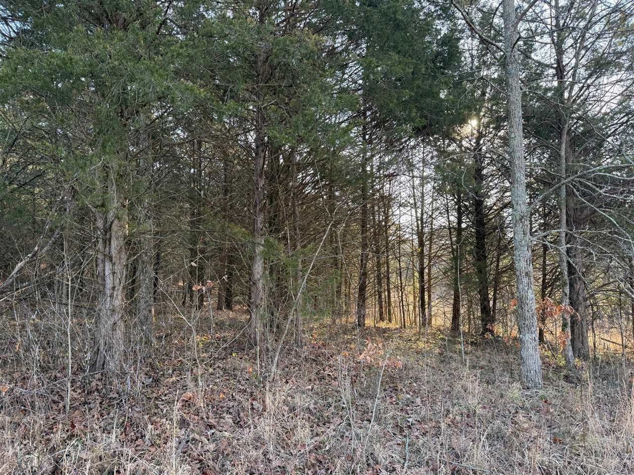 0 Billy Sparks Road, Edmonton, KY 42729 Main Photo