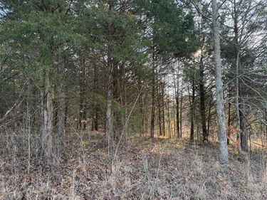 0 Billy Sparks Road, Edmonton, KY 42729