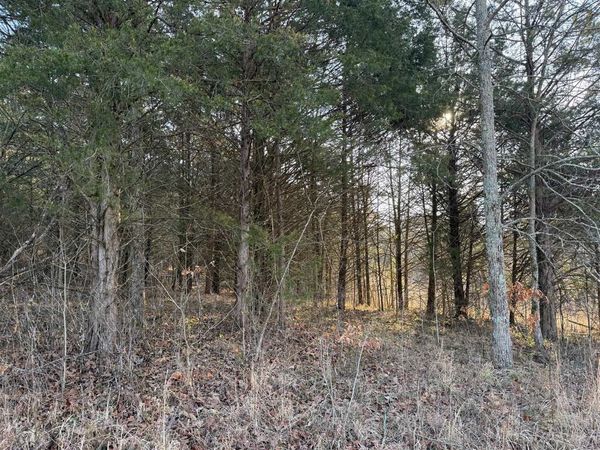 0 Billy Sparks Road, Edmonton, KY 42729