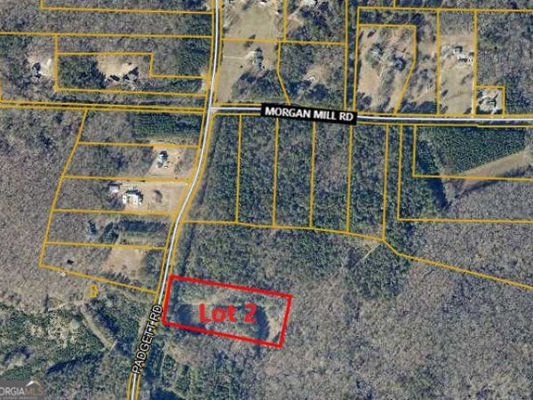 0 Padgett Road, Unit LOT 2, Senoia, GA 30276