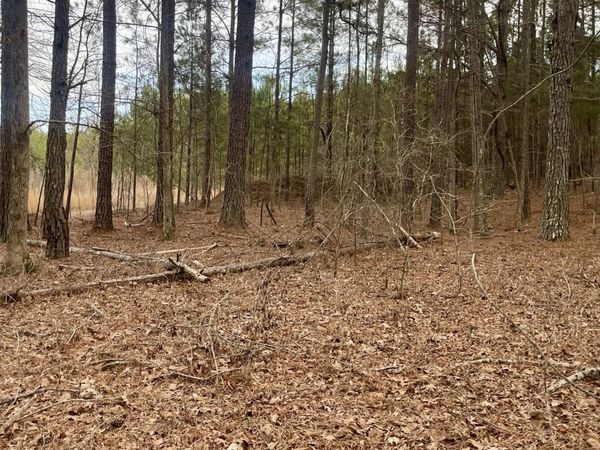 0 Padgett Road, Unit LOT 3, Senoia, GA 30276