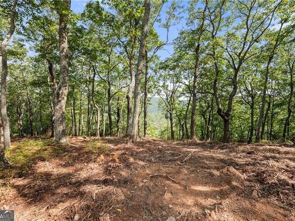347 Highlands Drive, Clarkesville, GA 30523