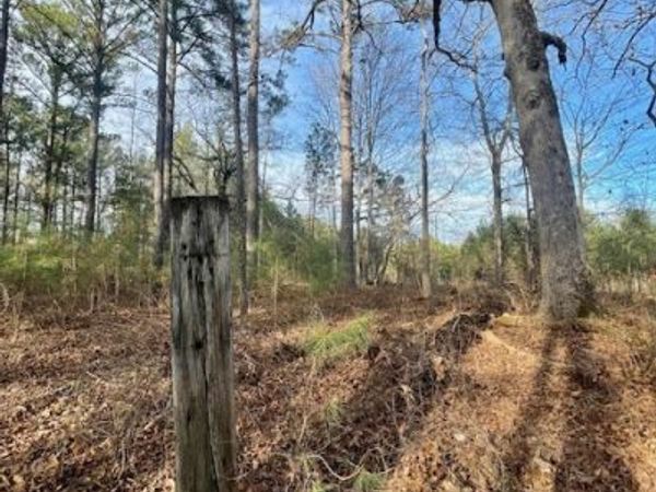 0 Padgett Road, Unit LOT 5, Senoia, GA 30276