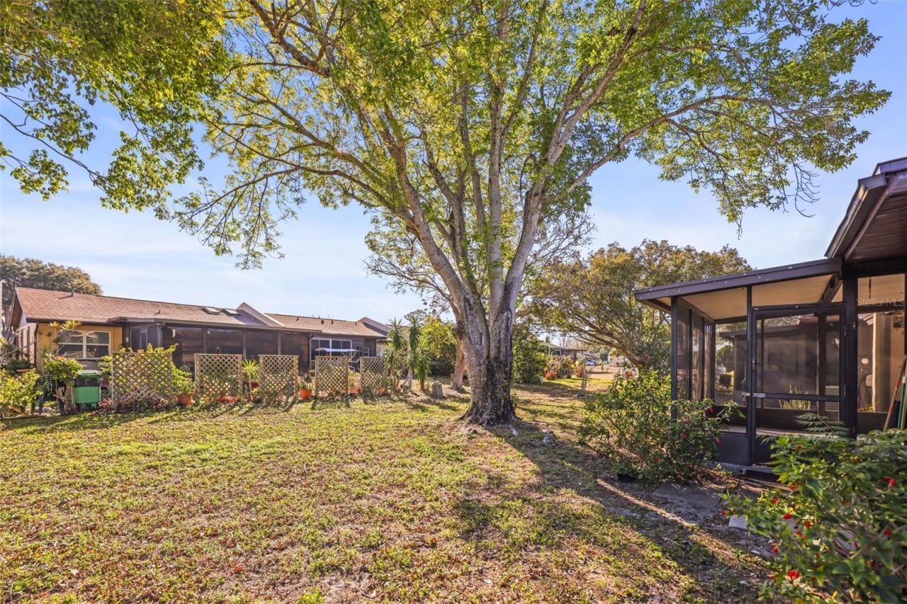 10049 88th Way, Seminole, FL 33777 Photo