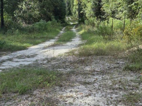 2390 NW 65th ave, Bell, FL 32619