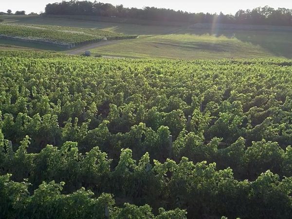 56 French Road S, Lake Leelanau, MI 49653