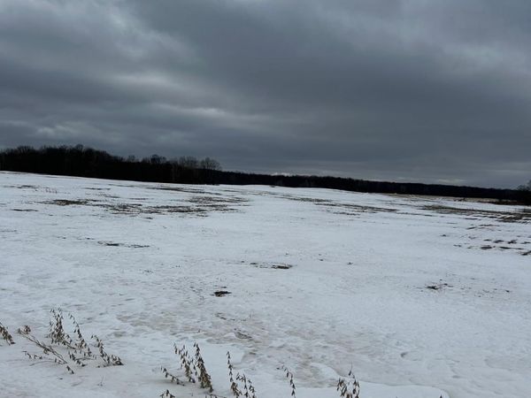 Lots 2 & 3 Cty Rd B , Woodville, WI 54028