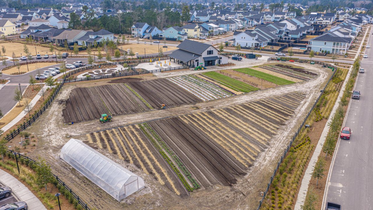 185 Denham Street Photo 40