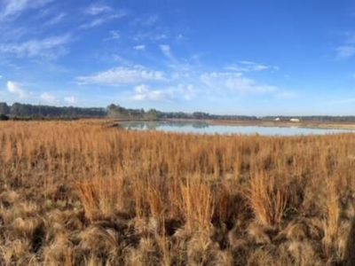 765 Percy Lane, Ridgeville, SC 29472