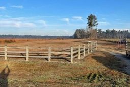 765 Percy Lane photo 4