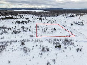 6412 LORA BETTE Drive Alanson, MI 49706