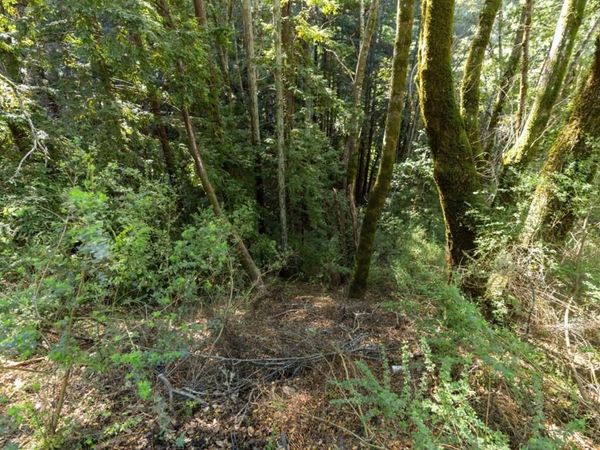 Buckeye Street, Felton, CA 95018