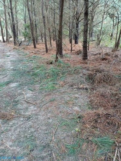 5 62e Ridge Rd, Washington, VA 22443 Main Photo