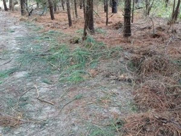 6 72A Ridge Rd , Washington, VA 22443