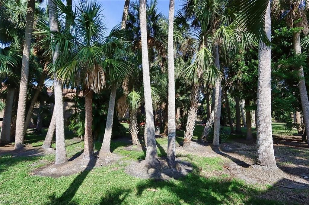17623 Osprey Inlet Ct, Fort Myers, FL 33908 Photo