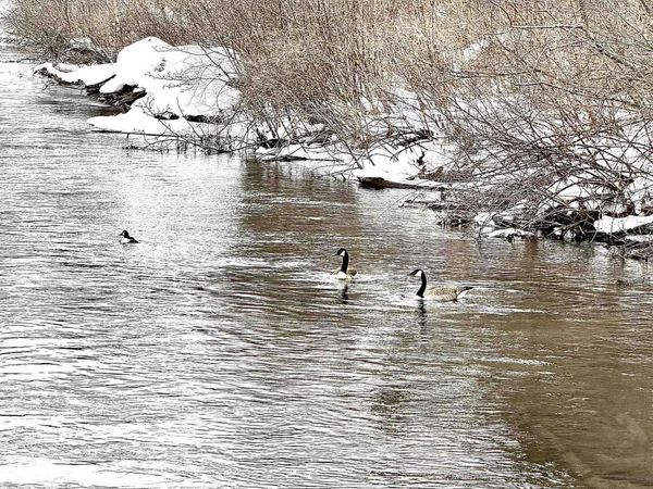 820 Boardman Acres Drive, Traverse City, MI 49696