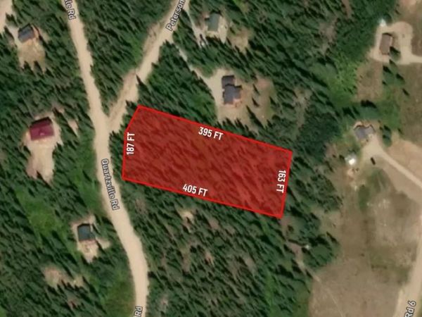 8 Peterson Drive, Fairplay, CO 80440