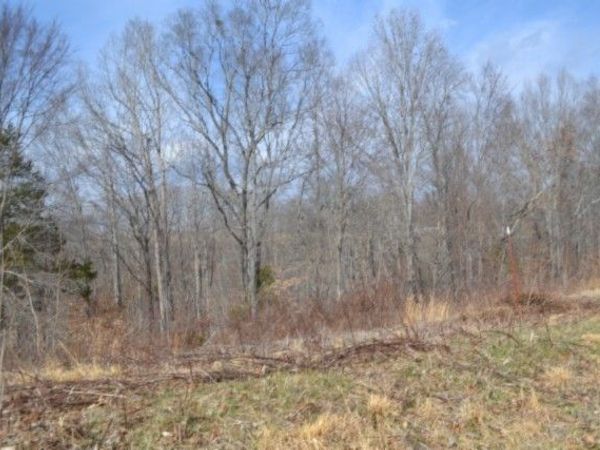 0 Hush Hollow Lane, Baxter, TN 38544