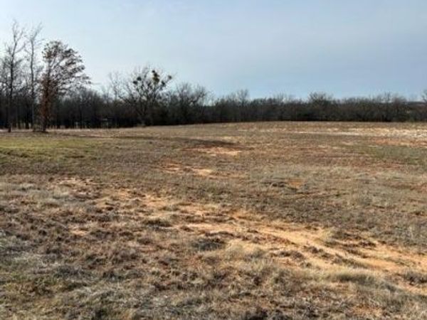 1028 Annabelles Avenue , Weatherford, TX 76087