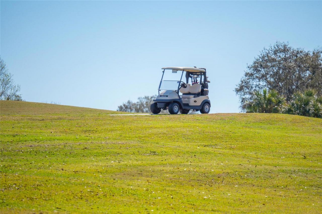 11908 Oak Ridge Drive, Parrish, FL 34219 Photo