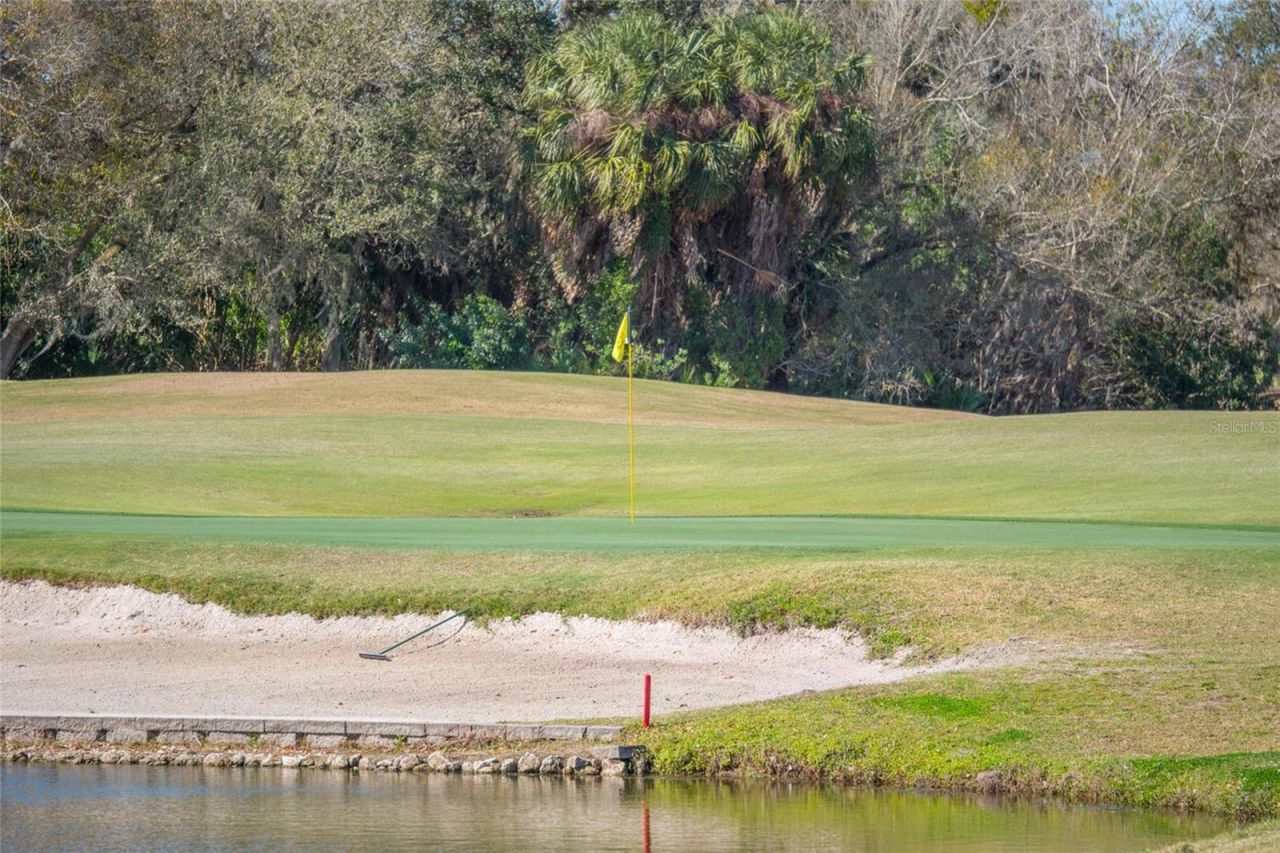 11908 Oak Ridge Drive, Parrish, FL 34219 Photo