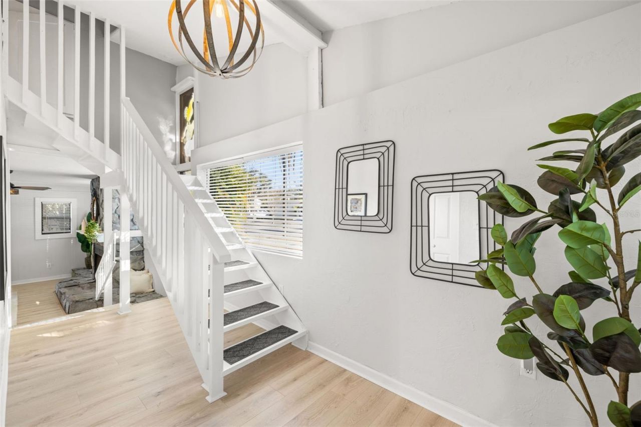 741 30th Avenue N, Saint Petersburg, FL 33701 Photo