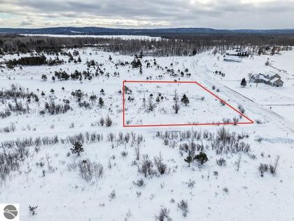 6412 Lora Bette Drive Alanson, MI 49706