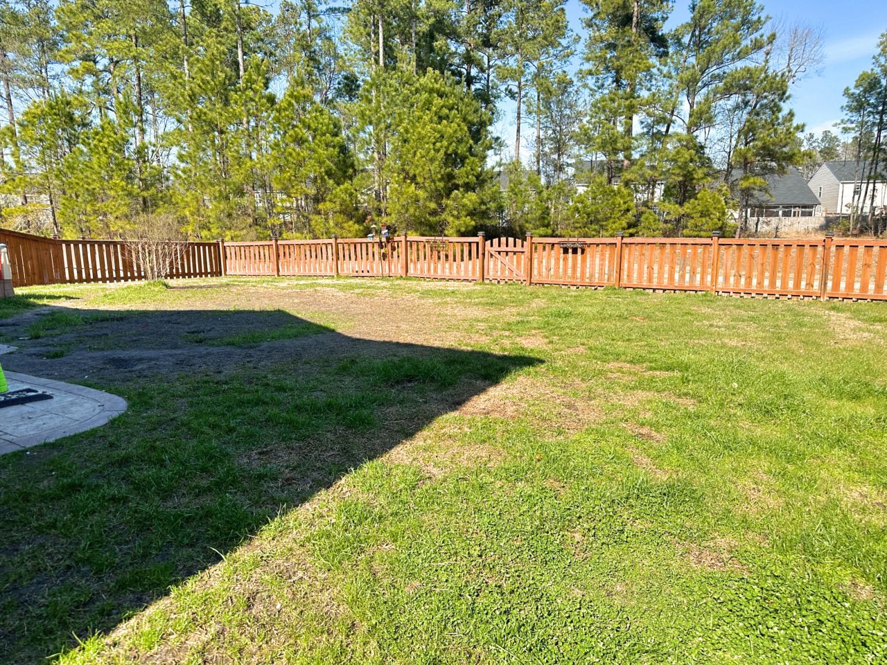 190 Lindera Preserve Boulevard Photo 53