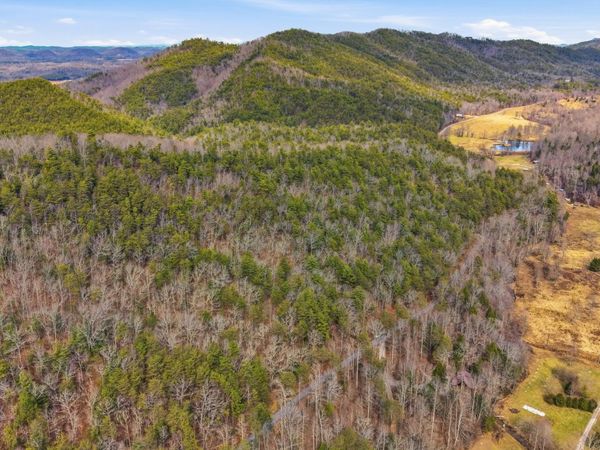 Steer Creek Rd, Tellico Plains, TN 37385