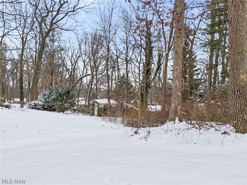 1825 Jackson Avenue NW, Massillon, OH 44646 Photo 34