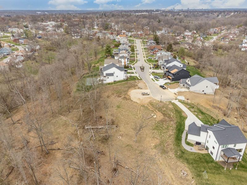 33 Floral Avenue, Fort Mitchell, KY 41017 Photo 4