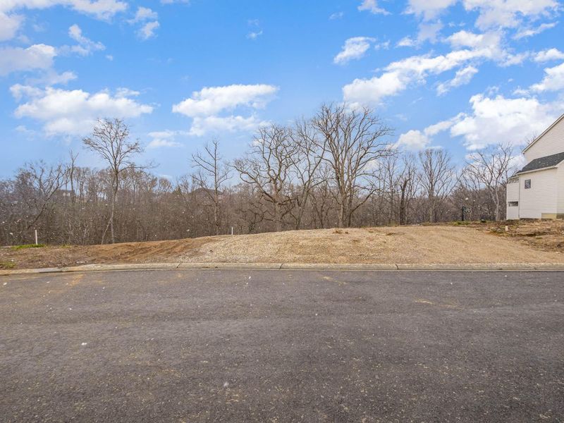 33 Floral Avenue, Fort Mitchell, KY 41017 Photo 6